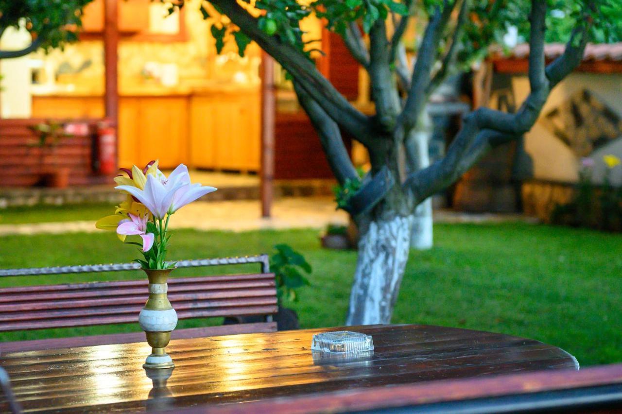 Medi Guest House 사파레바바냐 외부 사진