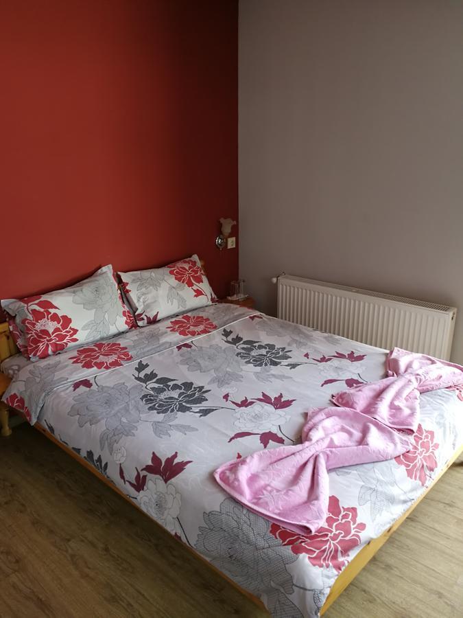 Medi Guest House 사파레바바냐 외부 사진